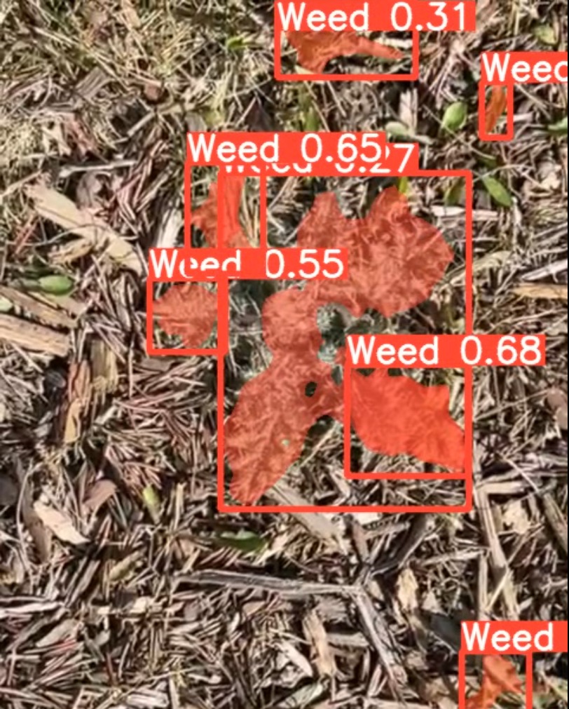 Video output screenshot 1